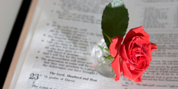 Psaume 111 : un psaume sur l'amour véritable et les promesses de Dieu